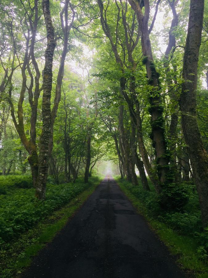Forse Of Nature Latheron Luaran gambar